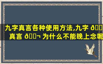 九字真言各种使用方法,九字 🐋 真言 🐬 为什么不能晚上念呢